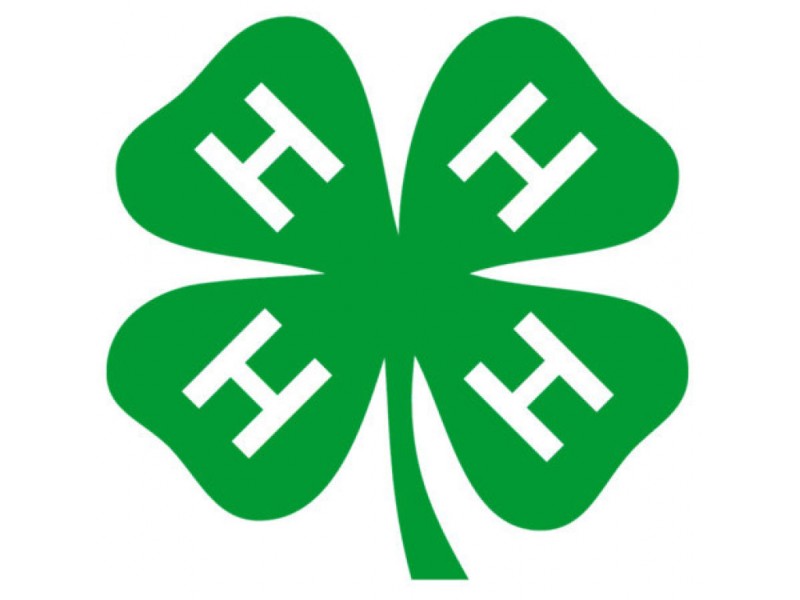 4-H