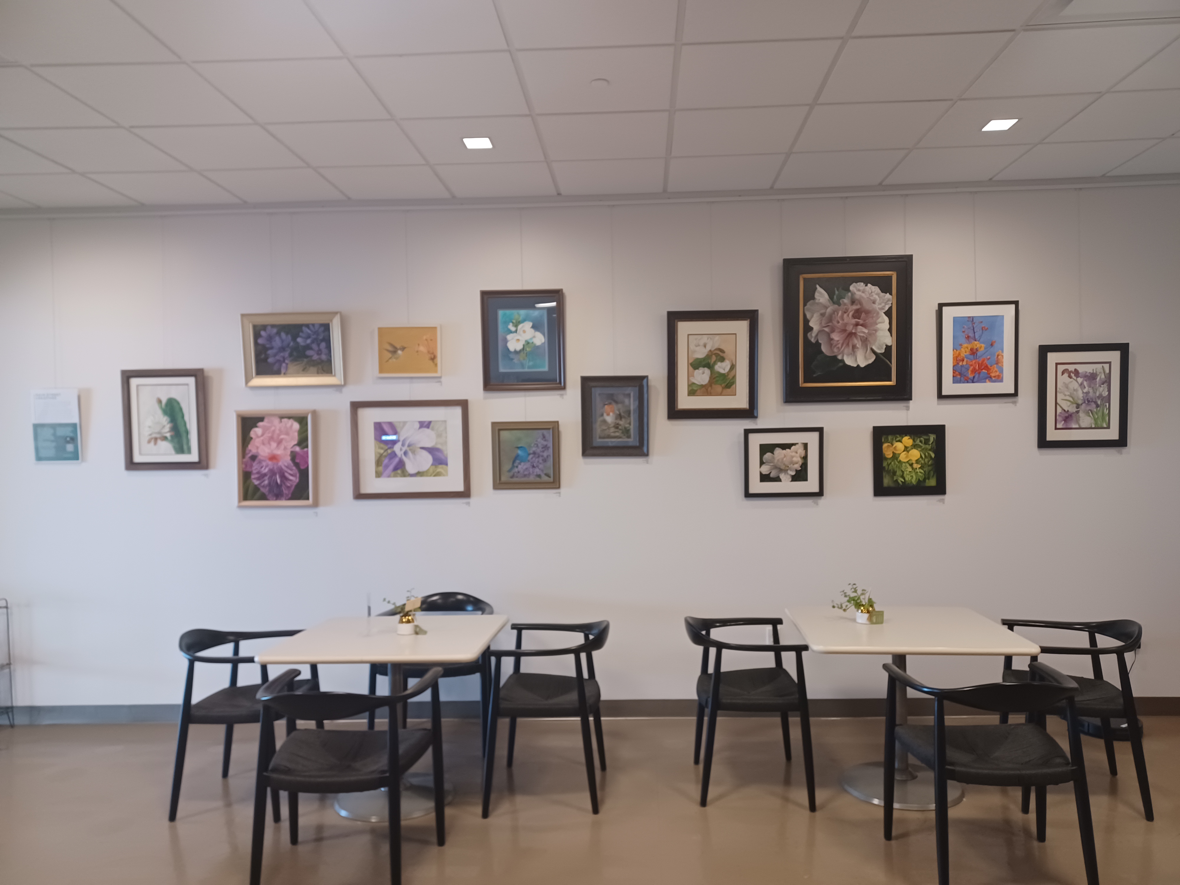 MAIN STREET CREATIVES SHOWCASE