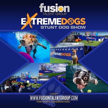 Extreme Dogs Stunt Dog Show