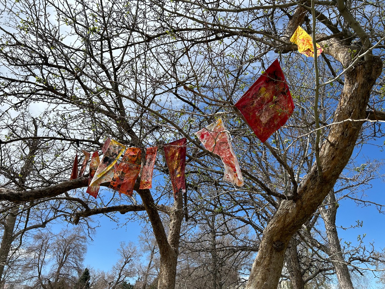 Tree Tales