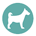 dogs
